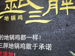 -皖北巫氏三胖地锅鸡(长淮总店)