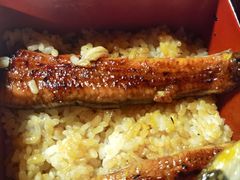 -料亭菊水楼