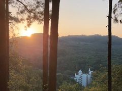 -三门江国家森林公园