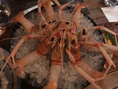 -斯普汇生蚝牛排馆(中骏世界城店)