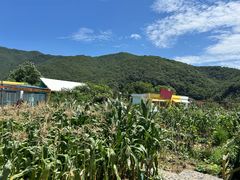 -宁波九龙湖开元度假村