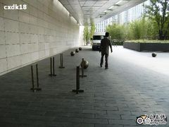 pa150298-上海柏悦酒店