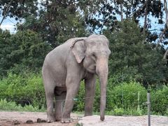 -清迈夜间动物园