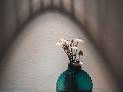 -Seeking Coffee咖啡(新竹路店)
