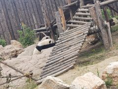 -大青山野生动物园