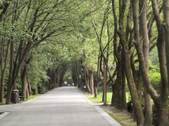 -同里国家湿地公园