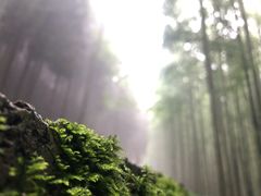 -山王坪喀斯特国家生态公园