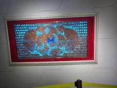 -上海昆虫博物馆