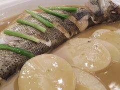 海鲈鱼-宝燕海鲜(好爱店)