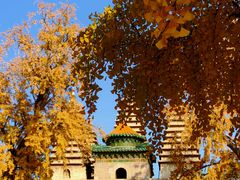 -北京石刻艺术博物馆(五塔寺)