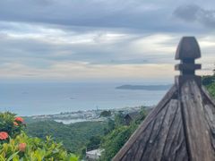 -三亚亚龙湾人间天堂鸟巢度假村