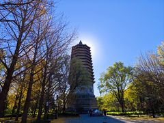 -玲珑塔公园