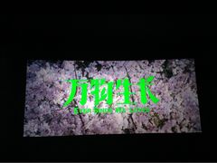 万达国际影城(锦华店)-万达影城(锦华万达广场IMAX店)