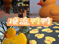 -深圳人才公园