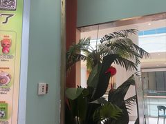 -春润大地海南椰子鸡(沙井京基百纳广场店)