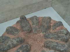 -中国地质大学逸夫博物馆