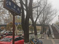 -莲湖公园