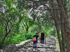 -阳台山自然风景区