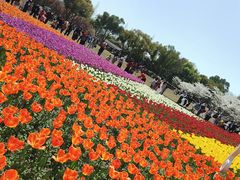 -苏州上方山国家森林公园
