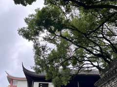 -上海醉白池公园