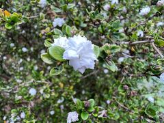 -昆明市金殿名胜区