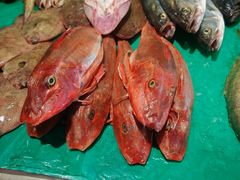 -木柴豆腐·活海鲜·鲁菜(岚山路店)