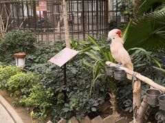 -南宫五洲植物乐园