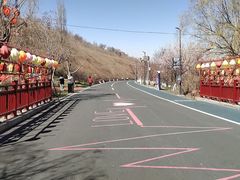 -小绿谷公园
