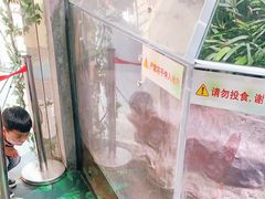 -上海大自然野生昆虫馆(东方明珠·爬宠昆虫探索中心)