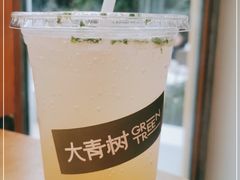 -大青树咖啡(大理古城店)