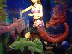 iphone_upload_pic-金石蜡像馆