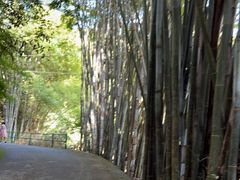 -桂山风景旅游区