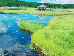 -塞罕坝国家级自然保护区