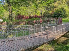 -素山寺森林公园