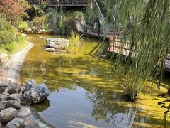-耕渔小院·湖南鱼鲜(望城店)