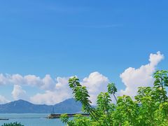-深圳湾公园(南山区)