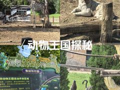 -大连森林动物园