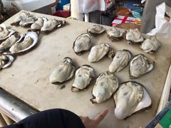 海鲜-十四涌水产中心
