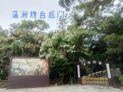 -南沙蒲洲花园