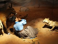 -陕西自然博物馆