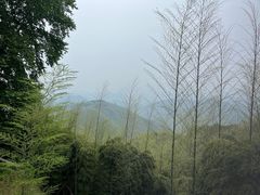 -莫干山风景区