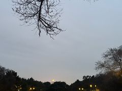 -北陵公园