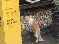 -老外街