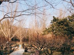 -香山公园