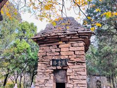 -龙洞风景区-藏龙涧