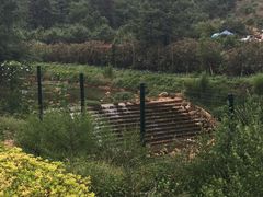 -云南艺术学院(呈贡校区)