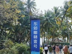 -东郊椰林