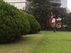 -中国福利会少年宫