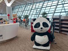 -浦东机场国航头等贵宾室