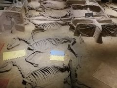 -洛阳周王城天子驾六博物馆